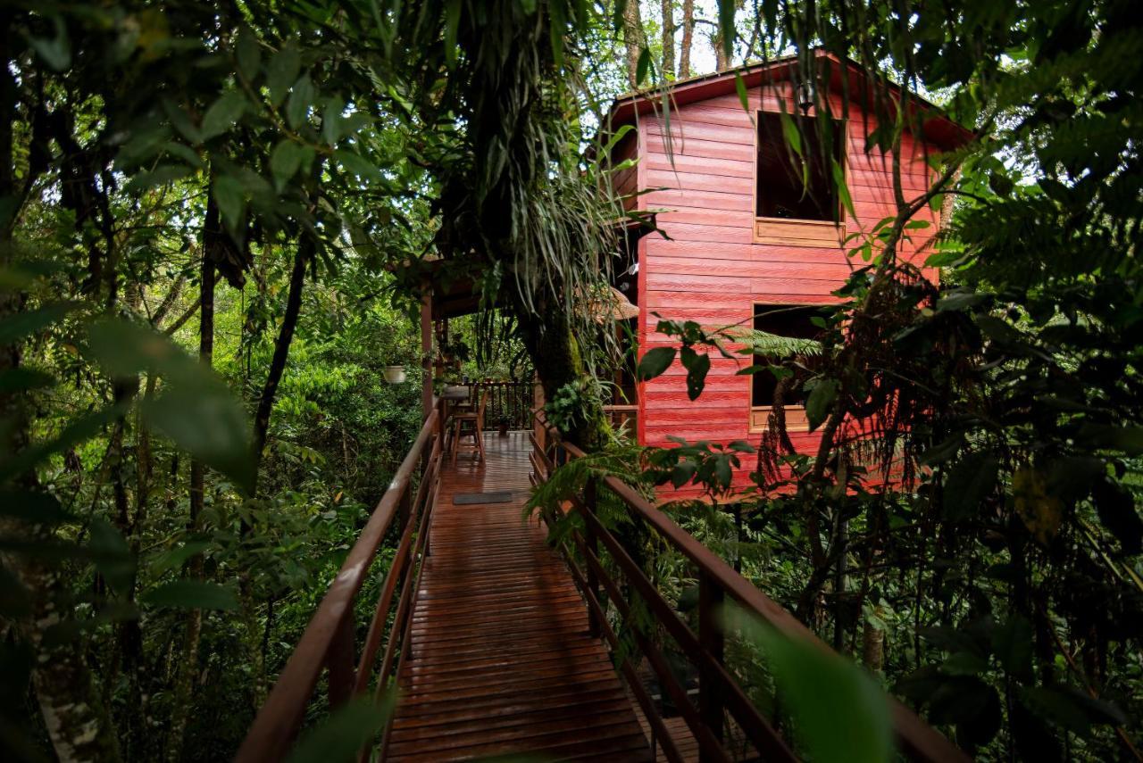 Tominejo Ecolodge - Casas En Los Arboles Neira Bagian luar foto