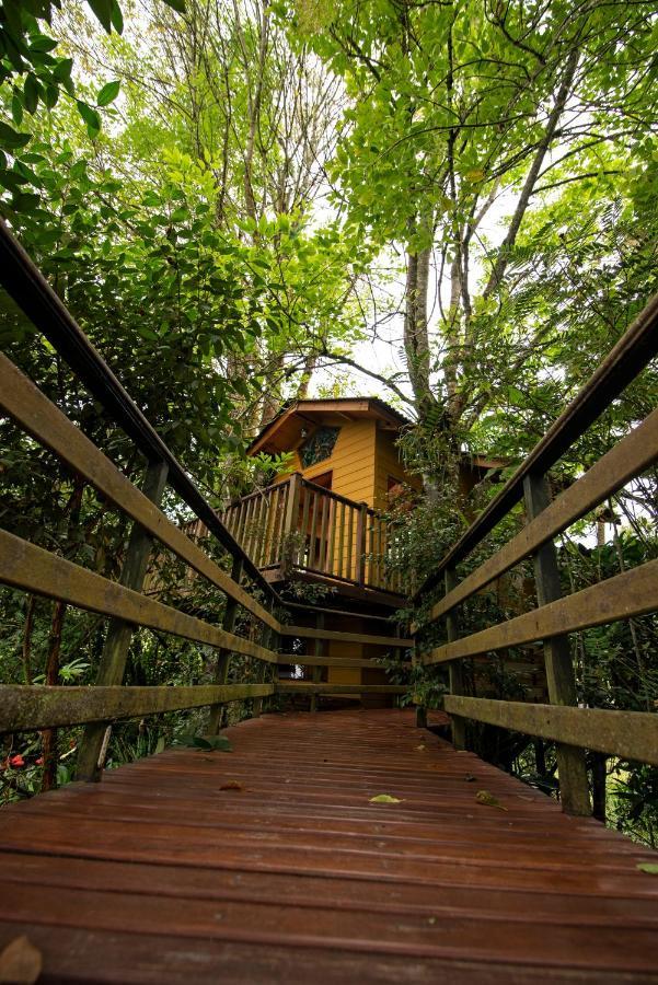 Tominejo Ecolodge - Casas En Los Arboles Neira Bagian luar foto