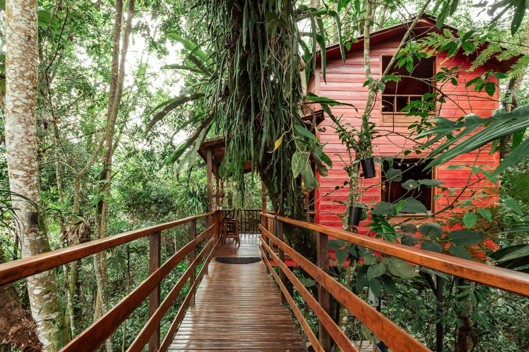 Tominejo Ecolodge - Casas En Los Arboles Neira Bagian luar foto
