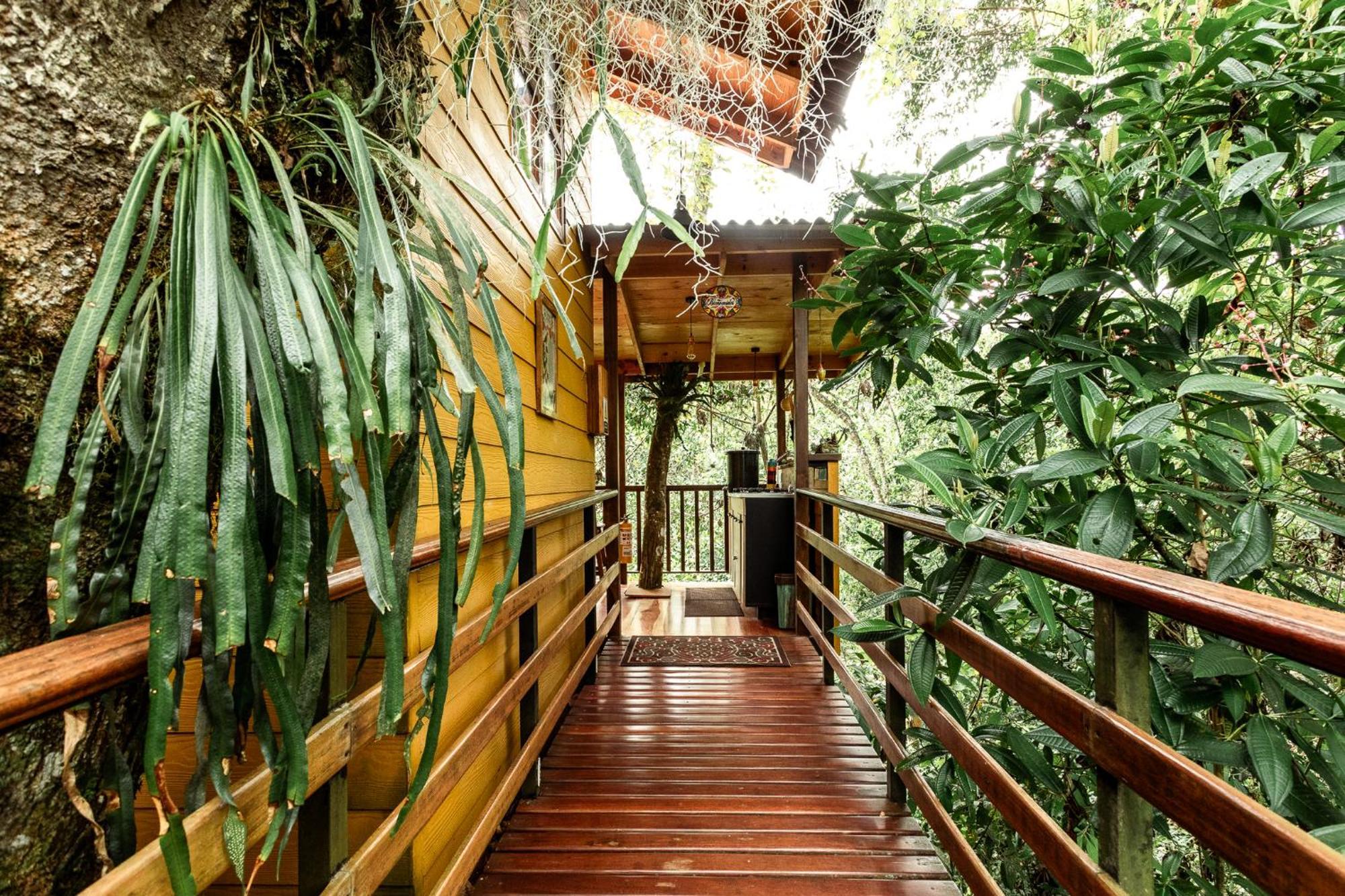 Tominejo Ecolodge - Casas En Los Arboles Neira Bagian luar foto