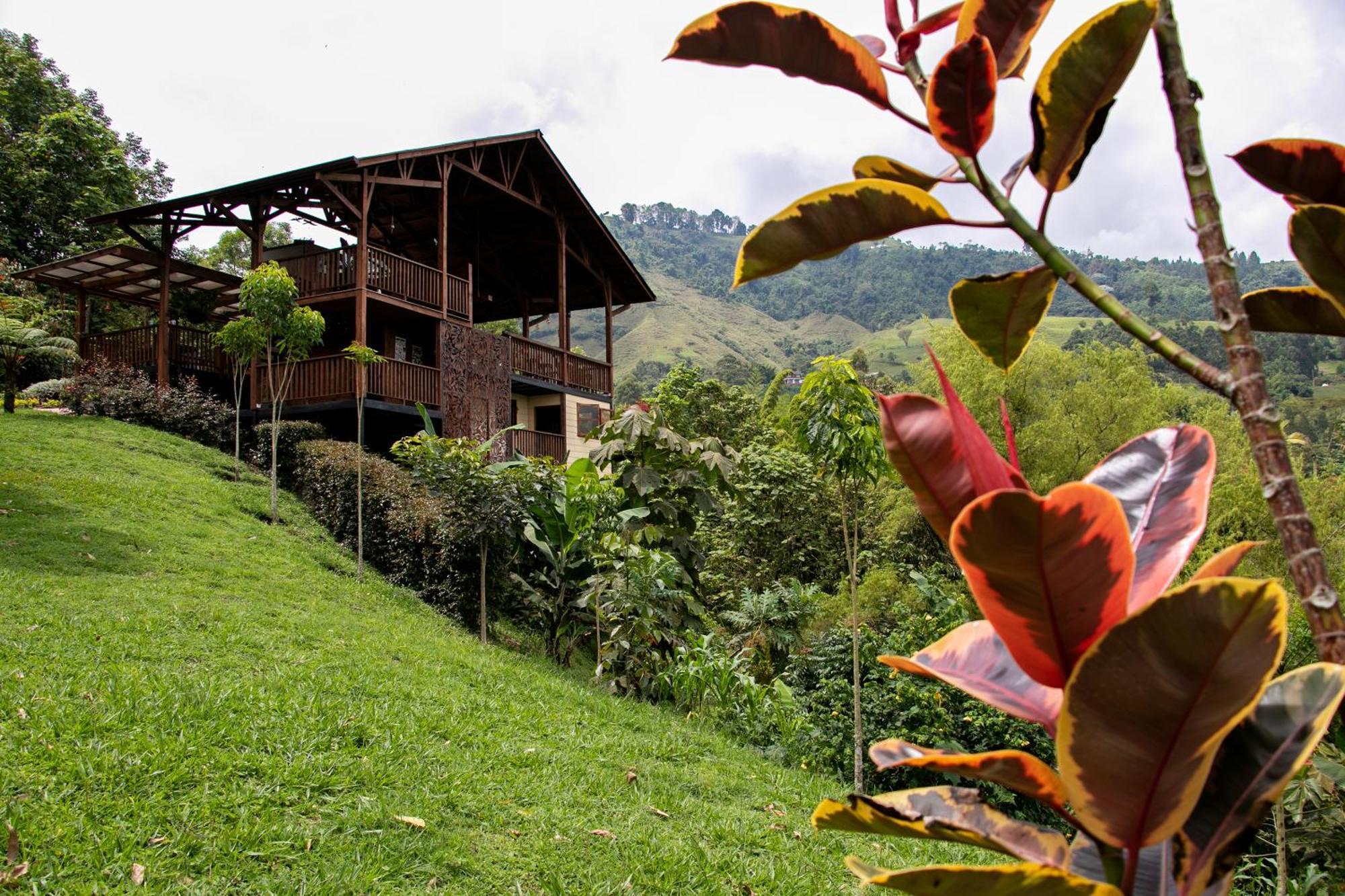 Tominejo Ecolodge - Casas En Los Arboles Neira Bagian luar foto